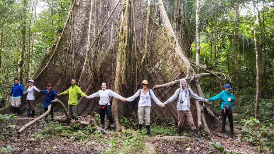 From Iquitos: Full day tour in the Peruvian jungle - Victoria Regia and the Amazon food chain