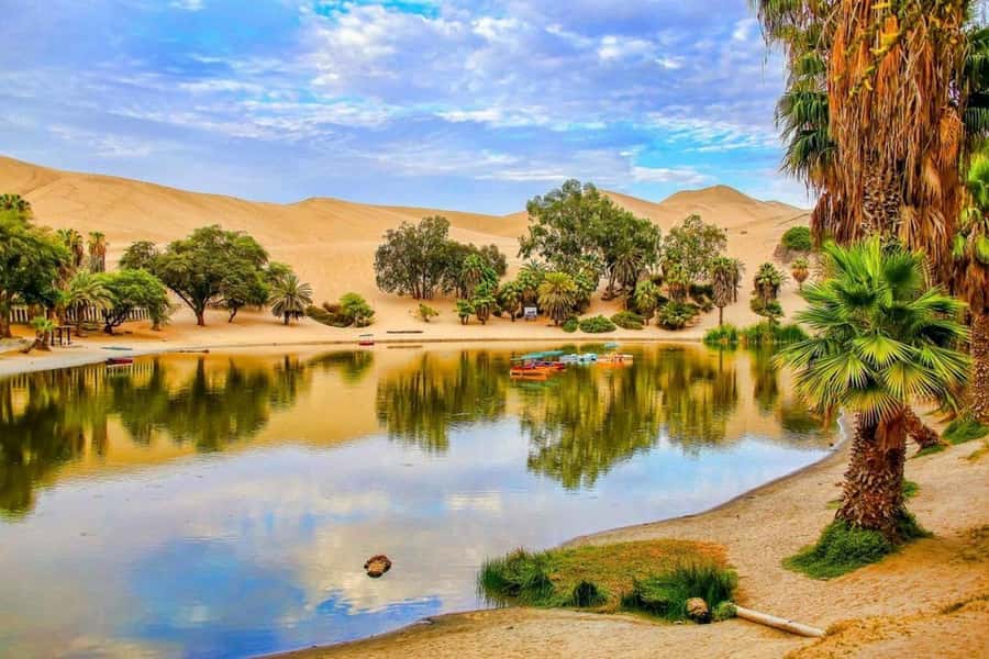 From Lima: 2 Days to Paracas & Huacachina | 2 Days/1 Night - Practical booking advice before you leave Lima
