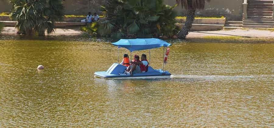From Lima: Ballestas Islands and Huacachina Sunset Day Trip - Boat wildlife around the Ballestas Islands