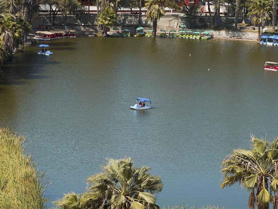 From Lima: Ballestas Islands and Huacachina Sunset Day Trip - First look at Huacachina Oasis