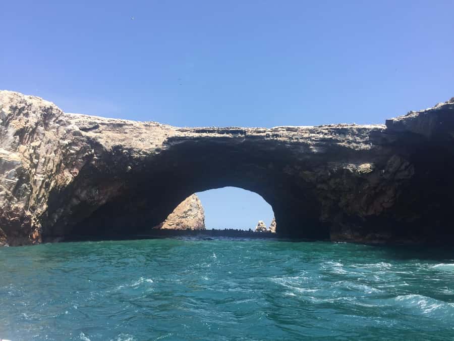 From Lima: Ballestas Islands, Huacachina, and Vineyard Tour - Who will enjoy this best?