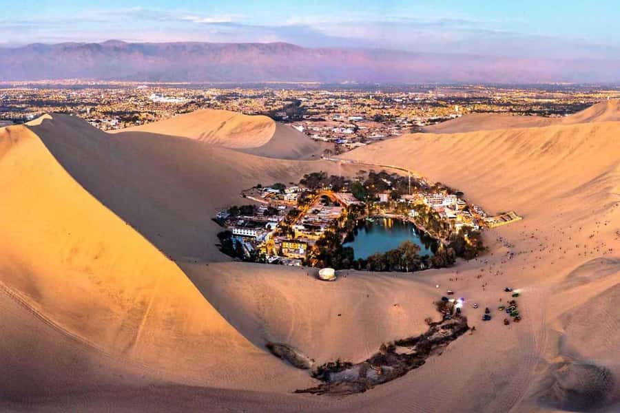 From Lima: Ballestas Islands, Huacachina and Wine Route Trip - Ballestas Islands wildlife and boat comfort