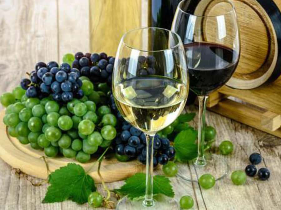 From Lima: Ballestas Islands, Huacachina and Wine Route Trip - Lunch, Ica wine, and pisco