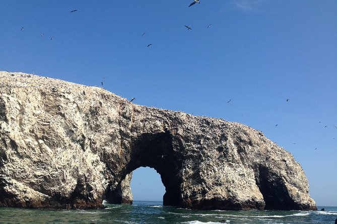 From Lima: Ballestas, Nazca Lines & Huacachina Oasis - How the guides and drivers affect the experience