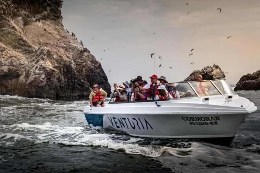 From Lima: Day trip to Paracas, Ica and Oasis Huacachina - What to bring and how to pace yourself
