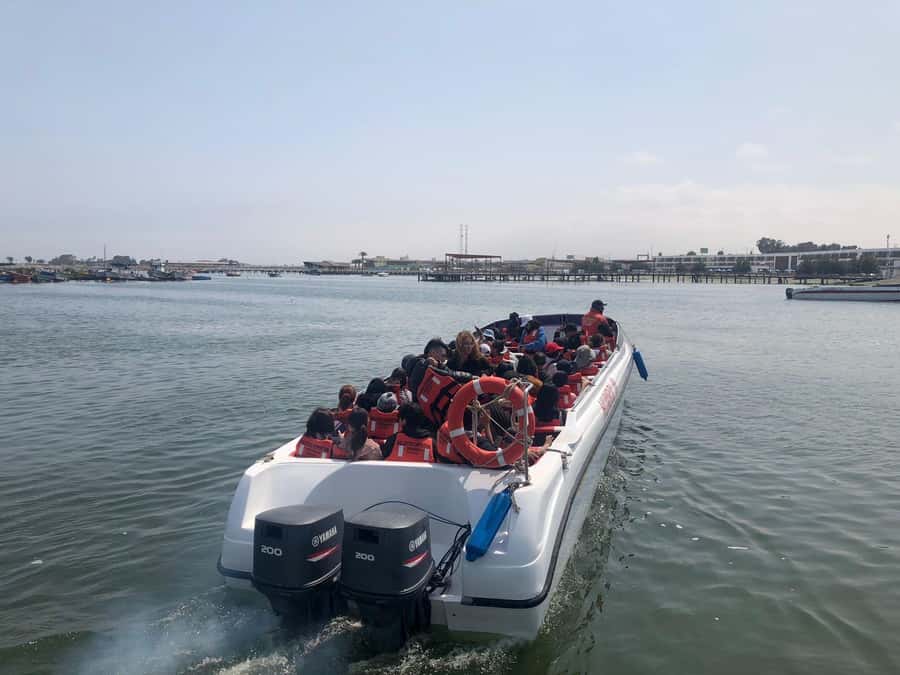 From Lima: Day Trip to Paracas, Ica & Oasis Huacachina - Key points to know before booking