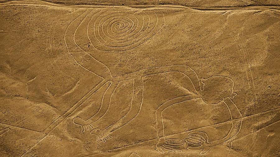 From Lima: Full day flight over in the Nazca Lines - Waiting at the Nazca aerodrome