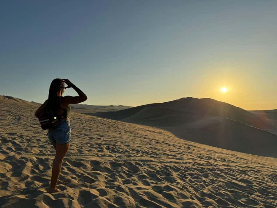 From Lima: Full Day Private All Inclusive Paracas, Ica. - From Paracas to Ica, a short road to pisco country