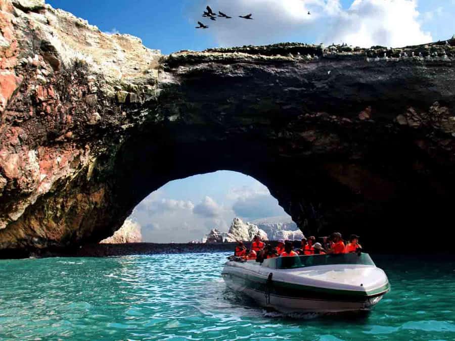 From Lima: Full Day to Paracas and Huacachina Desert Oasis - What the $71 price really includes