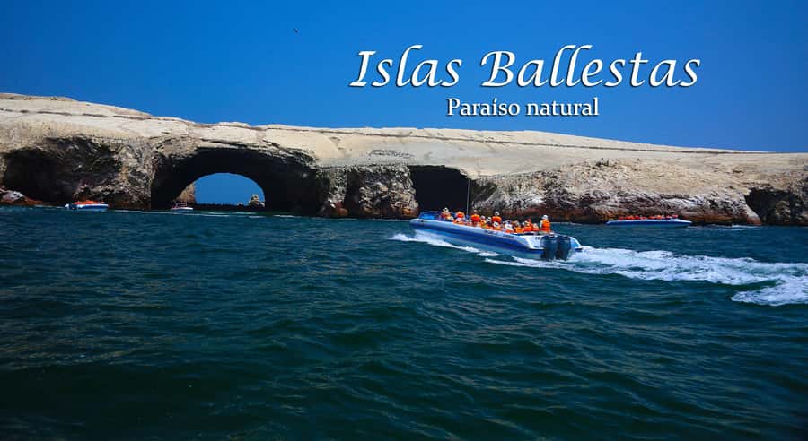 From Lima: Full Day Tour (Paracas + Huacachina) - Pisco, wine, and a practical lunch break