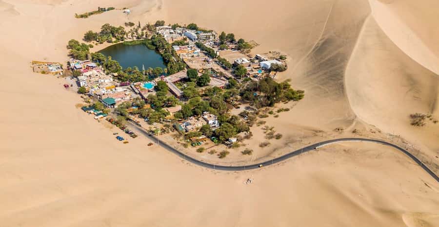 From Lima: Huacachina Oasis & Ballestas Island - ENGL / ESPA - Lunch and a Peruvian Pisco lesson