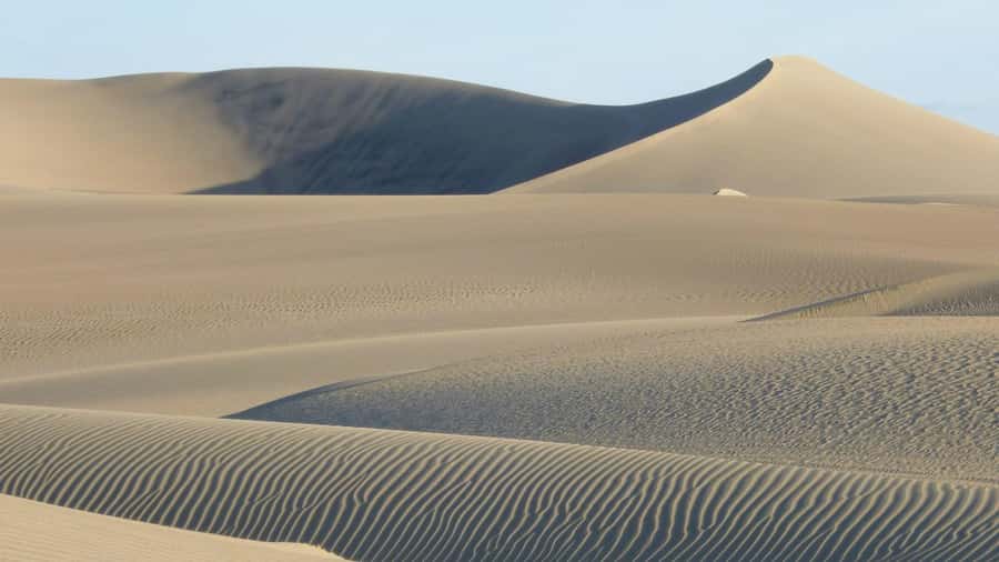 From Lima: Huacachina Oasis & Ballestas Island - ENGL / ESPA - The long return to Lima