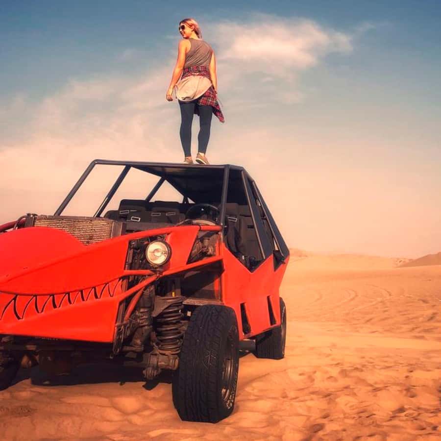 From Lima: Huacachina & Paracas Aventure Tour All Included - Should you book the Paracas and Huacachina tour?