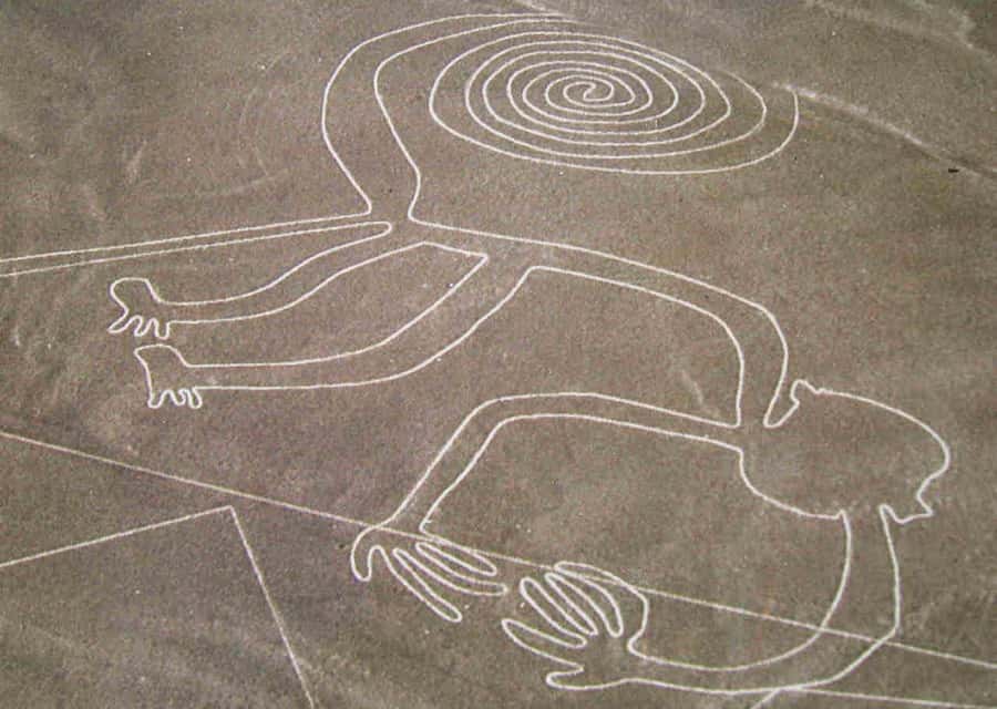 From Lima: Nazca Lines Flight with Huacachina Oasis Tour - Flying above the geoglyphs near Nazca City