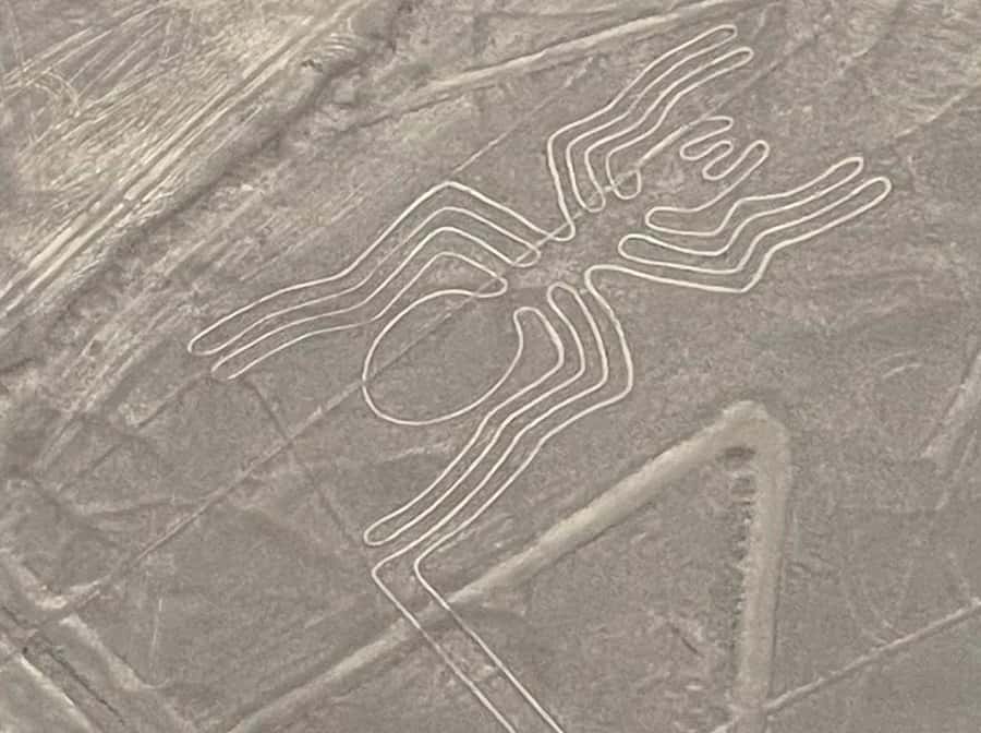 From Lima: Nazca Lines Flight with Huacachina Oasis Tour - Practical packing for sand, sun, and sky