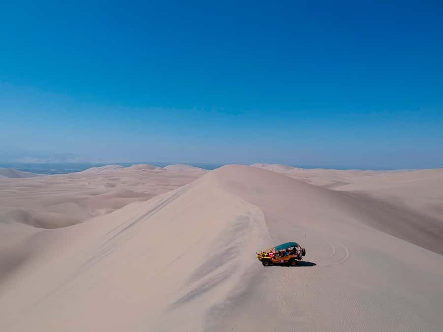 From Lima: Paracas and Huacachina Day Trip with Buggy Ride - Communication and tour style