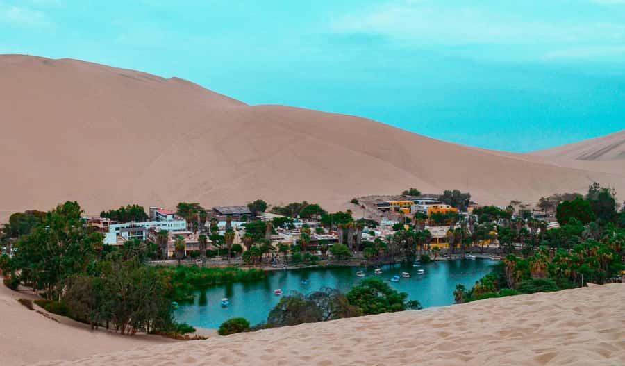 From Lima: Paracas and Huacachina Day Trip with Buggy Ride - Who should book this experience