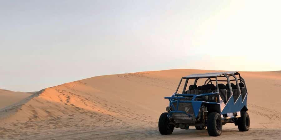 From Lima: Paracas and Huacachina Guided Desert Oasis Trip - Ballestas Islands, Peru’s wildlife-focused opening act