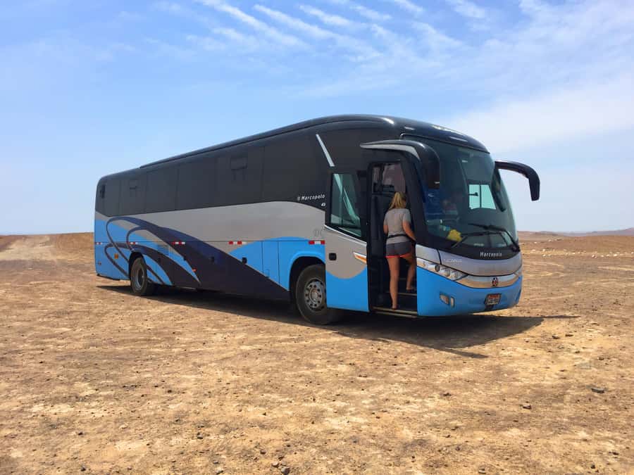From Lima: Paracas and Huacachina Oasis Full Day Guided Tour - Who should book this experience
