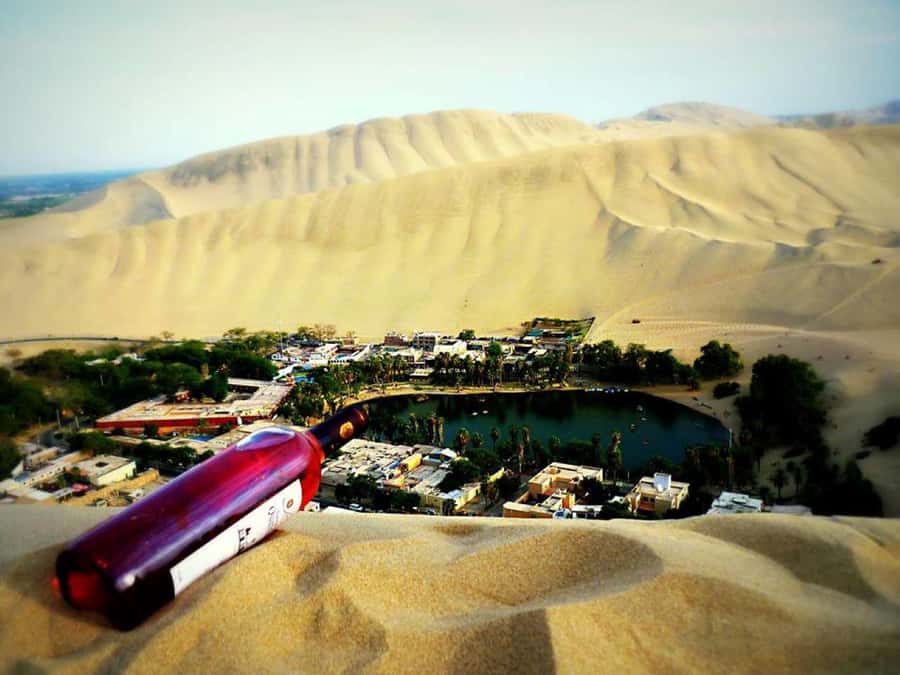 From Lima:Paracas Ballestas Islands and Ica Oasis 1 day Tour - Ica brings food, pisco, and a change of scenery