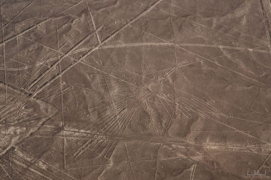 From Nazca: 35-Minute Flight Over Nazca Lines - Return transfer and the cost of waiting