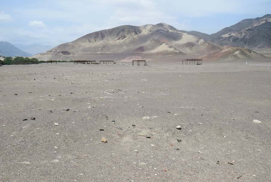 From Nazca: Chauchilla Cemetery Tour and Artisans Workshop - Why the guide matters here