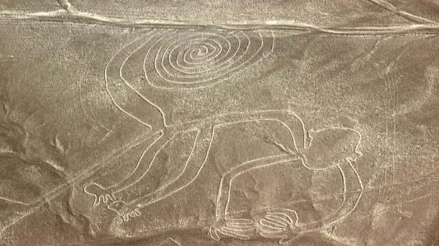 From Nazca: Flight in a light aircraft over the Nazca Lines - Key points before you book