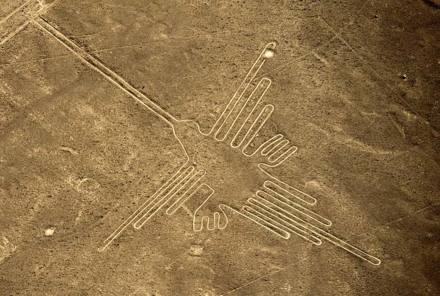 From Nazca: Flight in a light aircraft over the Nazca Lines - From your Nazca hotel to Maria Reiche Neumann Airport