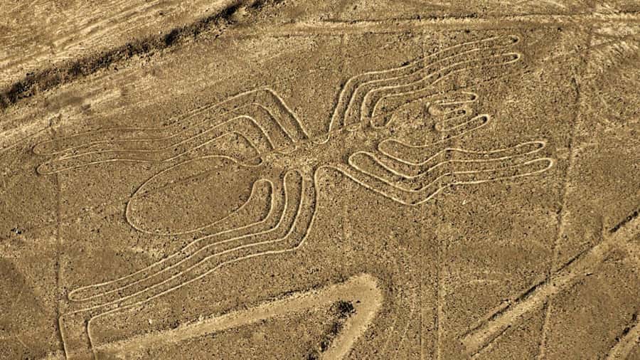From Nazca: Small plane flight over the Nazca Lines - Key points to know before you book