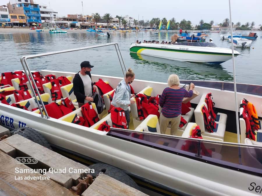 From Paracas: Ballestas Island Cruise & Paracas Reserve Tour - Ballestas Islands and the best wildlife viewing