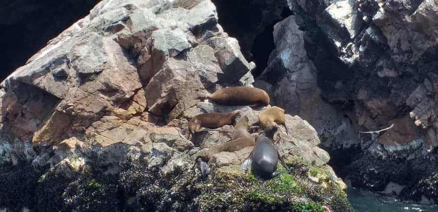 From Paracas: Ballestas Island Cruise & Paracas Reserve Tour - Playa Roja, where the sand changes color