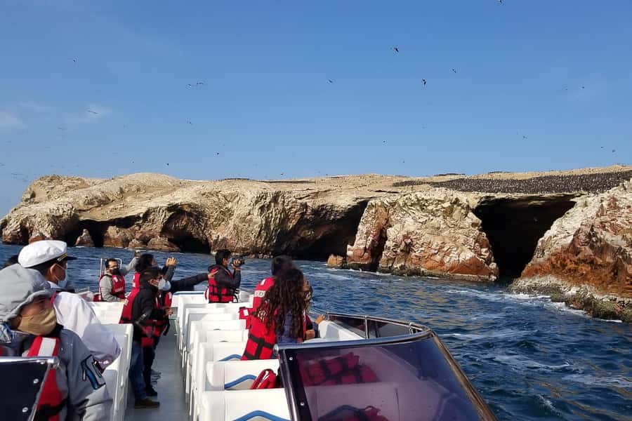 From Paracas: Ballestas Islands & Paracas National Reserve - Practical comfort, weather, and access