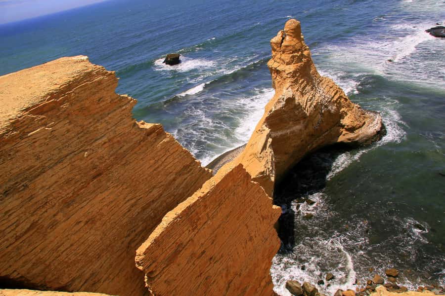 From Paracas: Ballestas Islands & Paracas National Reserve - Two hours around Ballestas Islands
