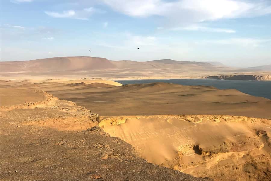 From Paracas: Ballestas Islands & Paracas National Reserve - The café break and the switch to the reserve