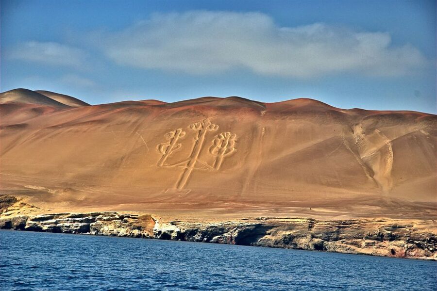 From Paracas: Ballestas Islands & Paracas National Reserve - What the guides add to the experience