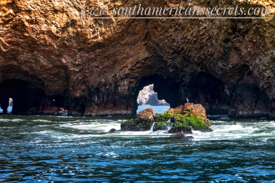 From Paracas: Ballestas Islands tour all Inclusive - Why the Ballestas Islands are worth your morning