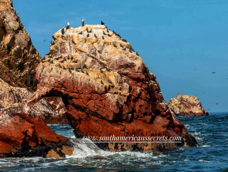 From Paracas: Ballestas Islands tour all Inclusive - Getting to Marina Turística without a scramble