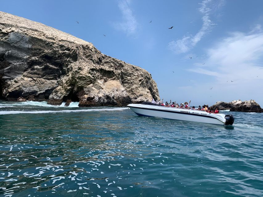 From Paracas: Ballestas Islands tour all Inclusive - How to prepare for a comfortable boat ride