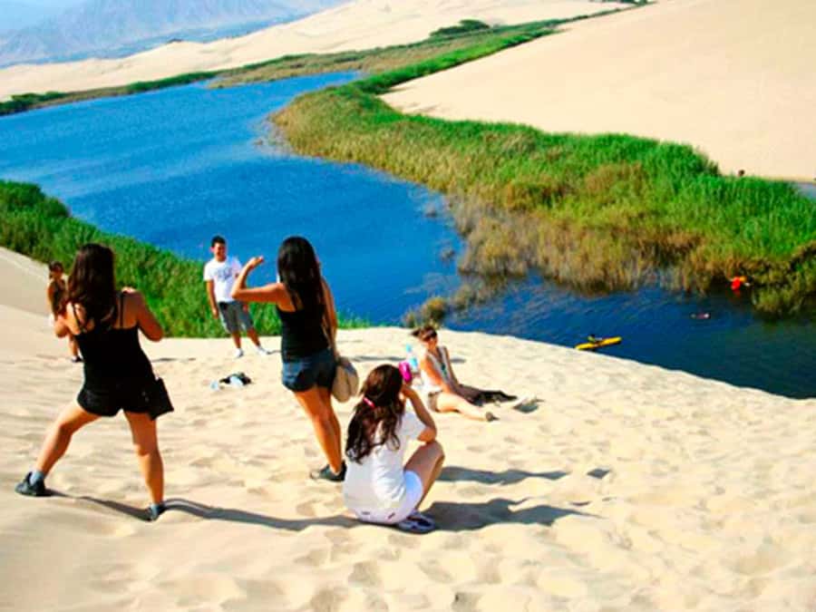 From Paracas: Mini Buggy Tour & Sandboarding at Oasis - Crossing Ica’s California Desert by Buggy