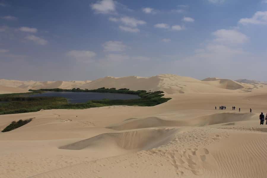 From Paracas: Mini Buggy Tour & Sandboarding at Oasis - Should You Book the Paracas Buggy and Sandboarding Tour?