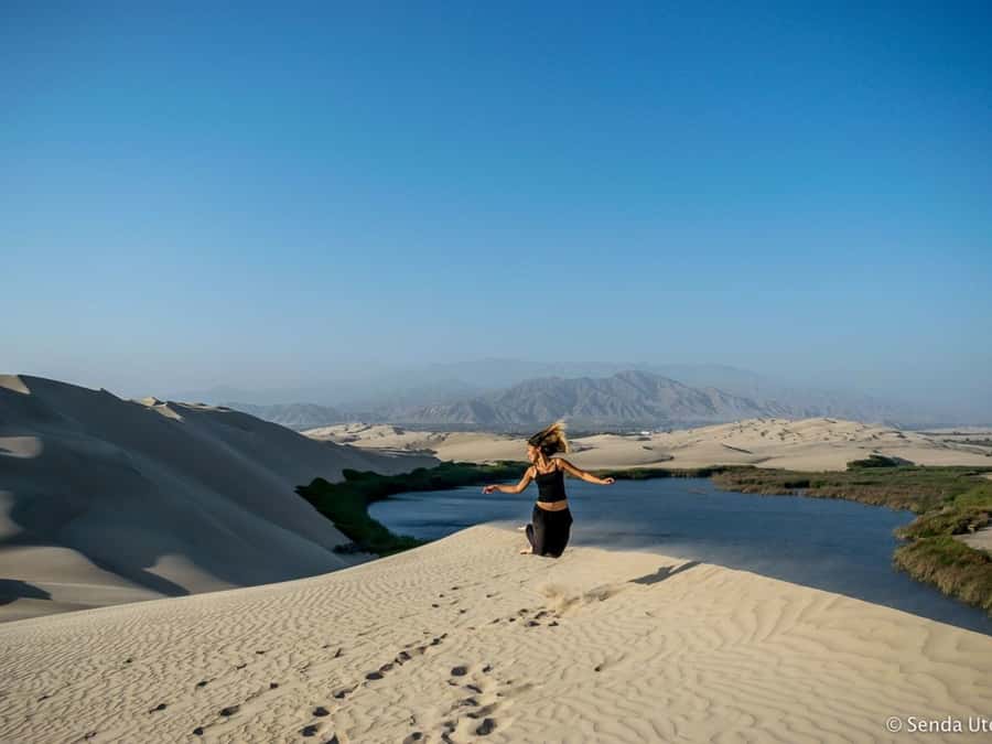 From Paracas: Mini Buggy Tour & Sandboarding at Oasis - Language, Pickup, and Booking Details