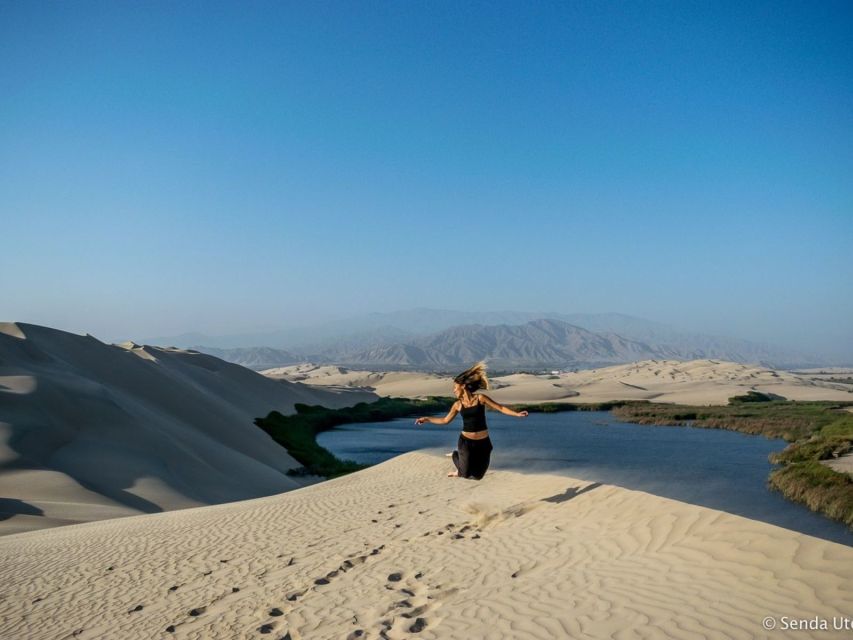 From Paracas: Mini Buggy Tour & Sandboarding at Oasis - Who Will Enjoy This Most