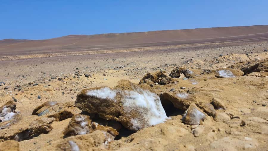 From Paracas: Paracas National Reserve Private Tour - Key points to know before booking