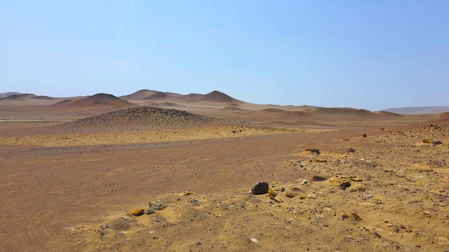 From Paracas: Paracas National Reserve Private Tour - Why this short Paracas tour works