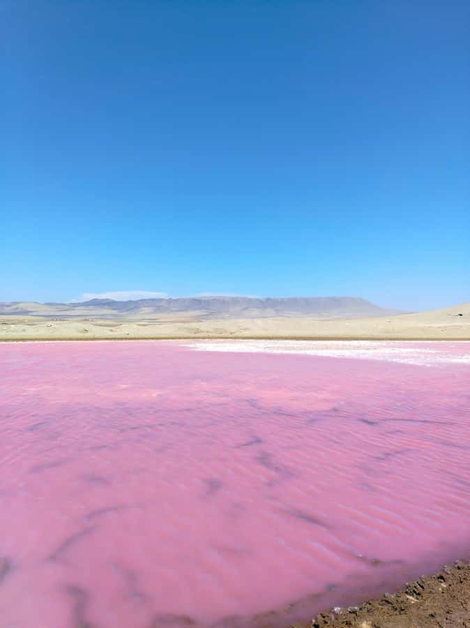 From Paracas: Paracas National Reserve Private Tour - Desert, sea, and islands at the reserve