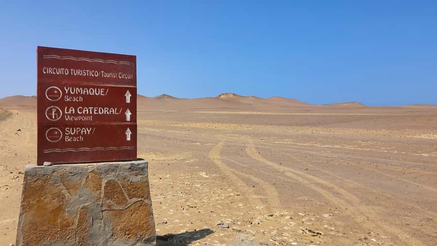 From Paracas: Paracas National Reserve Private Tour - The visitor center and the reserve’s wildlife