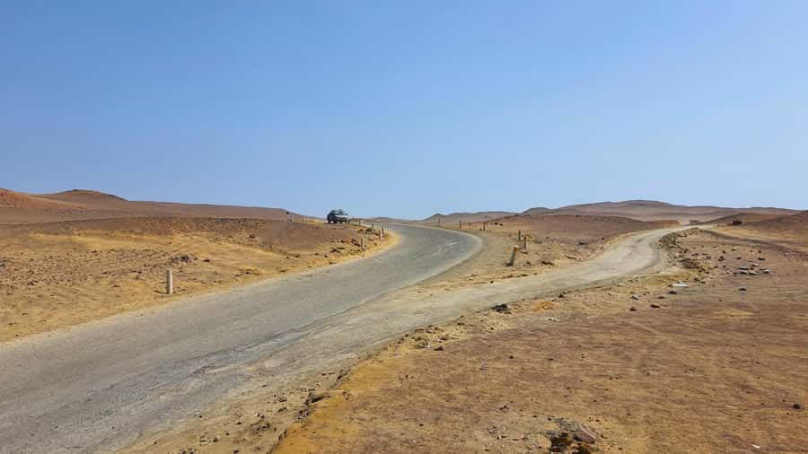 From Paracas: Paracas National Reserve Private Tour - Sea lions along the Paracas coast