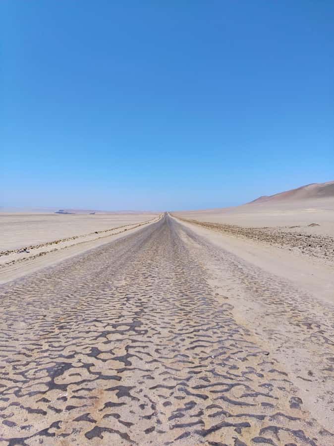 From Paracas: Paracas National Reserve Private Tour - Playa Roja and Lagunillas Beach