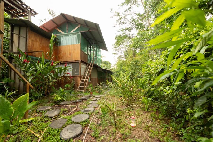 From Puerto Maldonado: 4-Day Excursion /wildlifesearch - Who Gets the Best Value