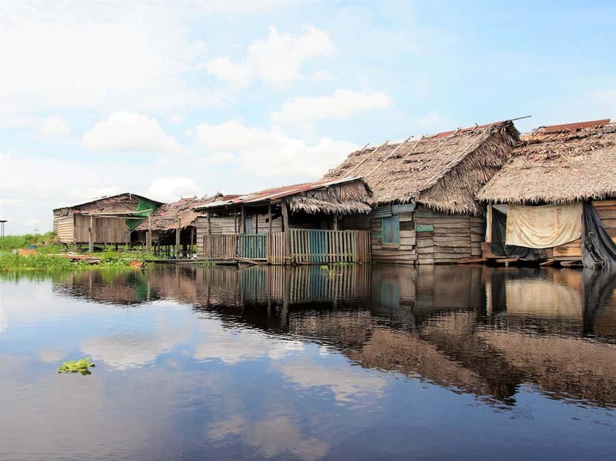 From Puerto Maldonado - Tambopata 4D/3N - Day 3: Lake Sandoval and the forest after dark